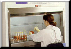In a Research Lab