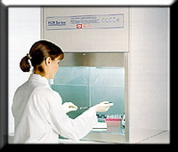 PCR Series in the Lab