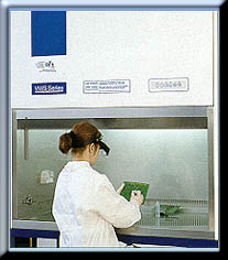 VWS in a Lab